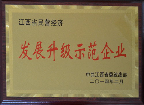 仁和集團(tuán)榮膺“江西省民營經(jīng)濟(jì)發(fā)展升級(jí)示范企業(yè)”