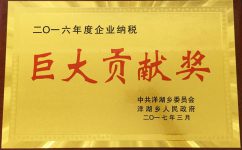 巨大貢獻獎